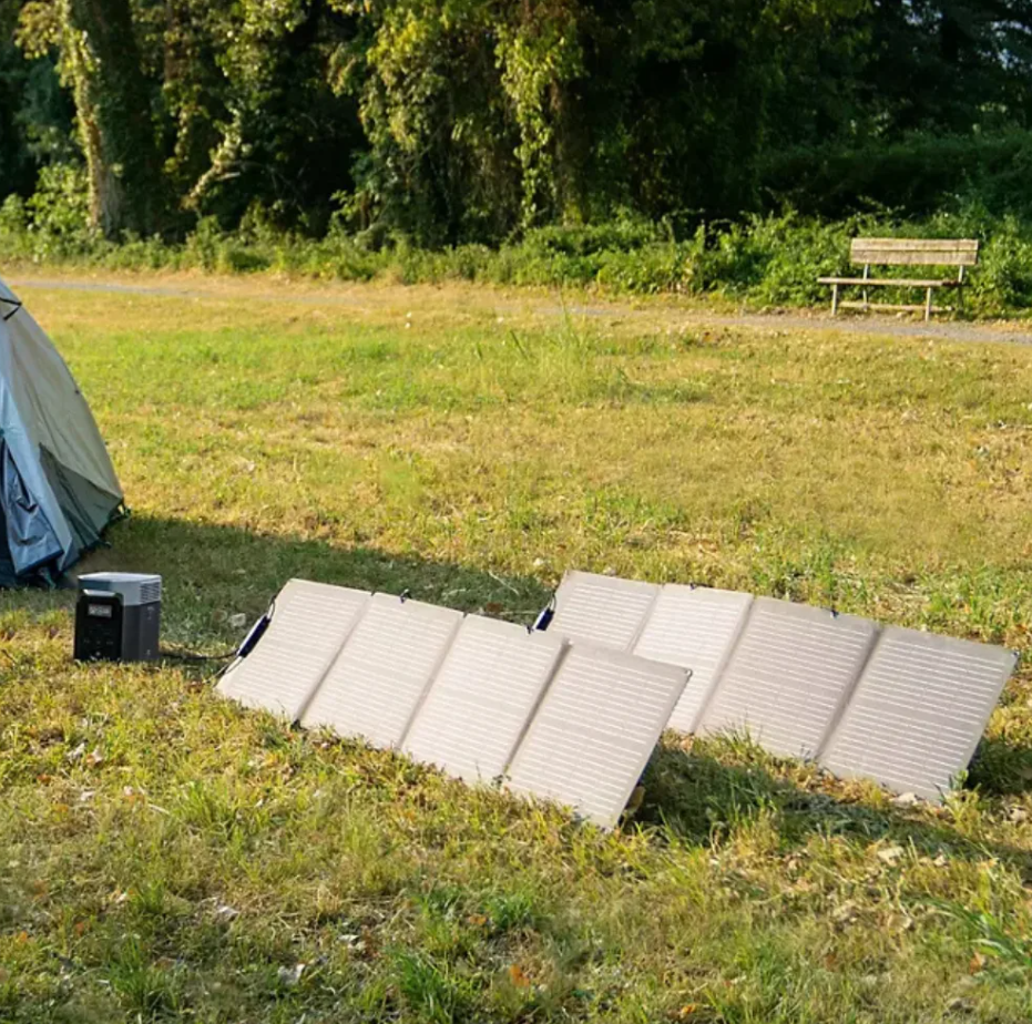 EcoFlow DELTA 2 950 Power Station with 2pcs 110W Solar Panel
